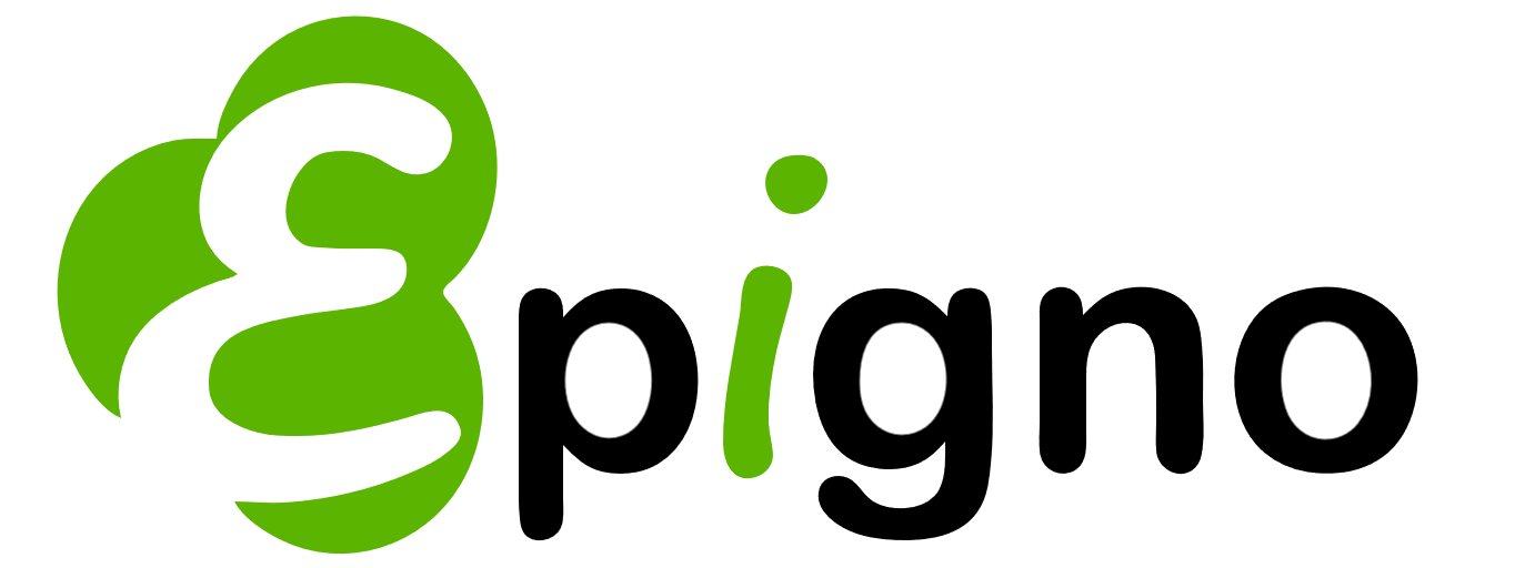 株式会社エピグノ様